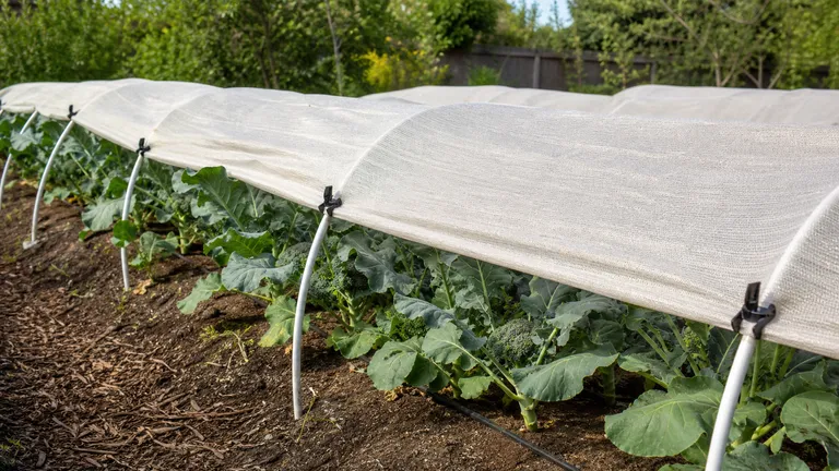 Low tunnels over vegetable production rows that can support temporary crop shade